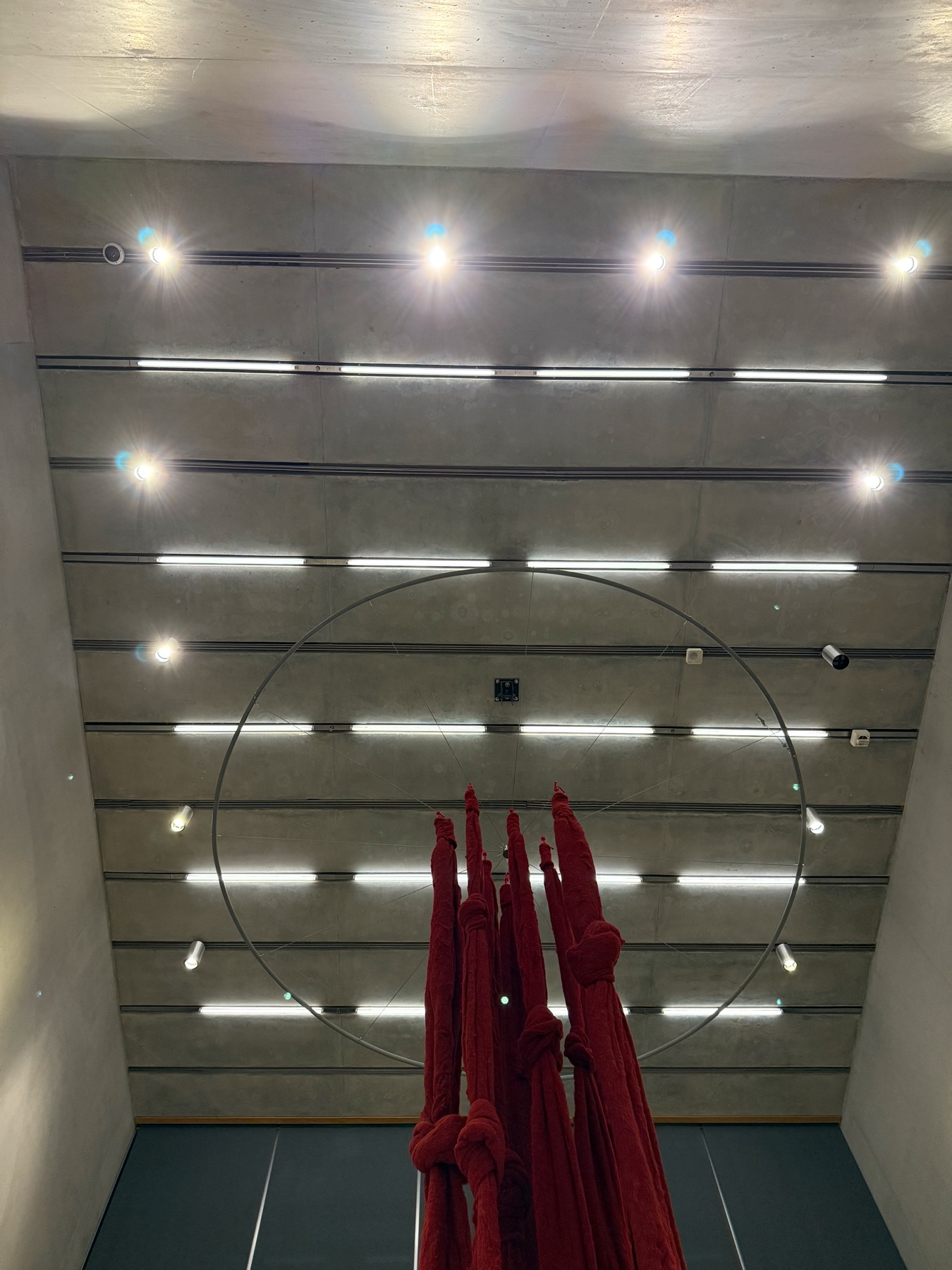 Ceiling and hoop detail